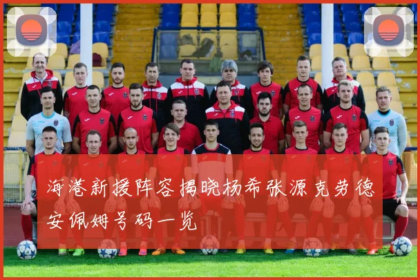 海港新援阵容揭晓杨希张源克劳德安佩姆号码一览