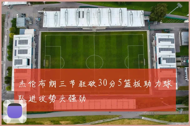 杰伦布朗三节狂砍30分5篮板助力球队进攻势头强劲