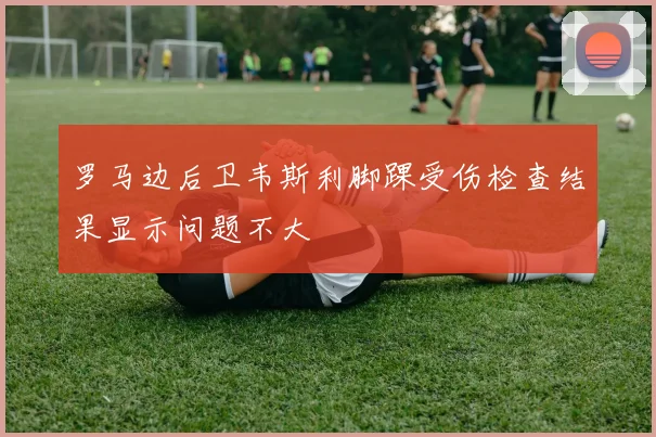 罗马边后卫韦斯利脚踝受伤检查结果显示问题不大